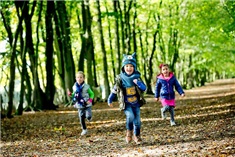 8x de leukste boswandelingen met kinderen in de Kop van Noord-Holland! 