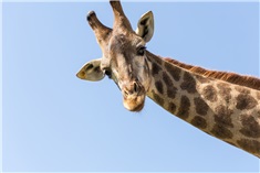 Een dagje dierentuin!