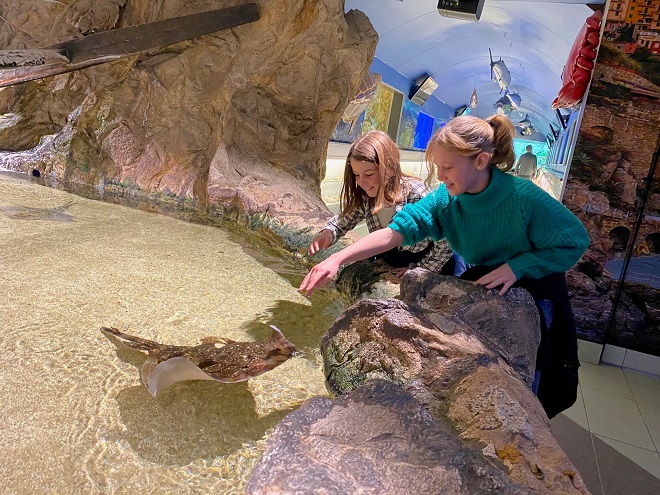 Zeeaquarium Bergen aan Zee