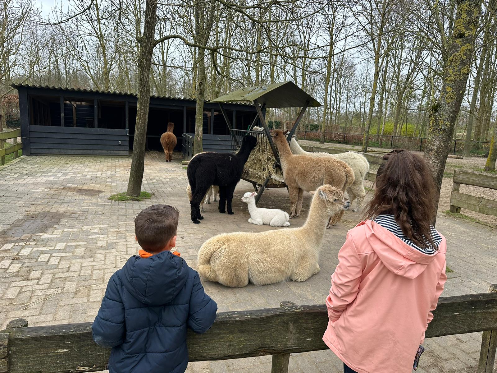 Dierenpark Hoenderdaell