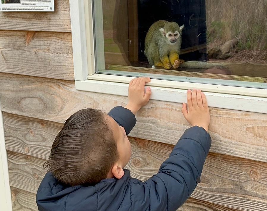 Dierenpark Hoenderdaell