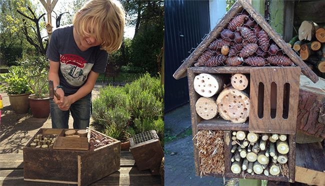 Ongebruikt blog - Maak je eigen insectenhotel! | Kidsproof Zuid-Limburg AY-57