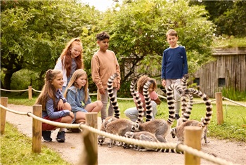 Kinderfeestje Aqua Zoo