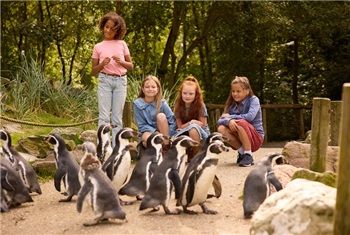 Kinderfeestje Aqua Zoo