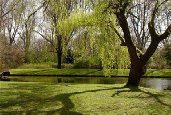 Het Beatrixpark