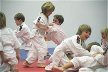 Judo en jiu-jitsu