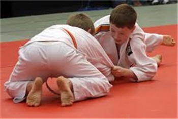 Judo bij Budo Sport