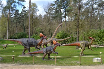 Dino Zoo Metelen (D)