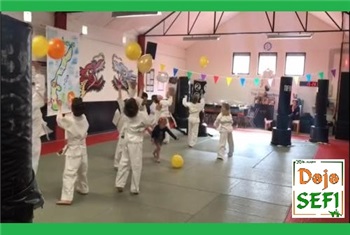 Karate Kinderfeestje