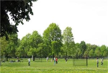 Picknicken Zuiderpark