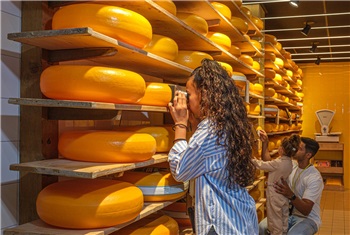 Gouda Cheese Experience