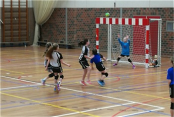 Intuïtie passagier voordeel Handbalvereniging Zwolle - HV Zwolle | Kidsproof Zwolle