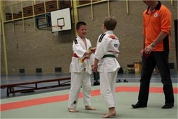 Judo in sporthal De Haspel