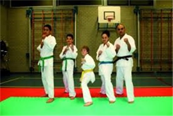 Karateteam Azmani