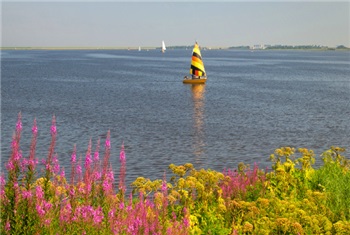 Zwemmen bij Lauwersmeer