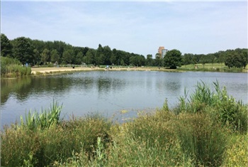 Wilhelminapark Rijswijk