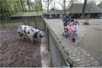 Kinderboerderij - Kinderboerderij De Hazewinkel | Kidsproof Eindhoven