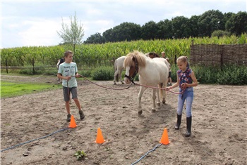 Bewegend leren met pony's