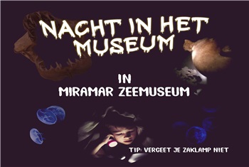 Museumnacht
