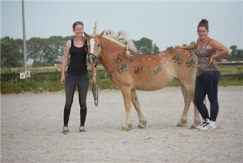Ponykamp Nieuwendijk Hoeve
