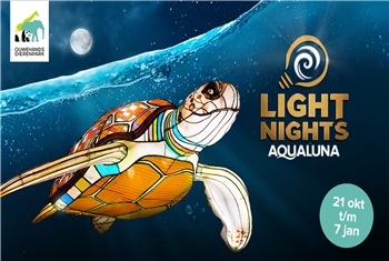 Light Nights AquaLuna