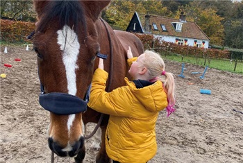 Paardenkracht voor kids