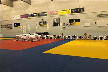Judo in Rosmalen