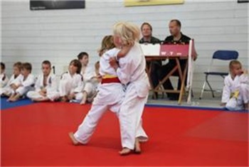 Judo in Rosmalen
