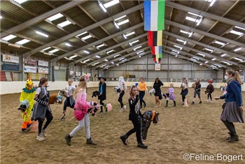 Indoor Hobby Horse Event!