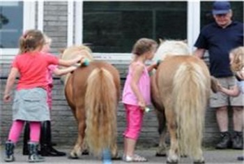 Kinderfeestje met pony's