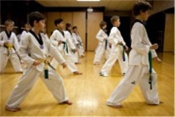 Taekwondo bij Reflex