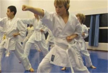 Judo of karate proberen?