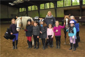 Buigen buste Karakteriseren Pony Doe Dag | Stal de Naaldenhof | Kidsproof Haarlem