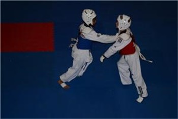 Taekwondo Ertekin