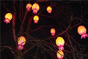 China Lights Festival