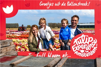 Tulip Experience Amsterdam