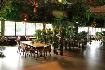Jungle Café