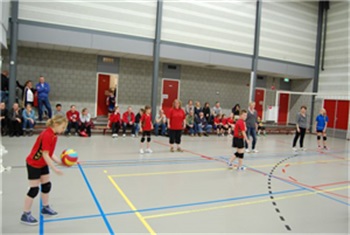 Set-up Volleybal