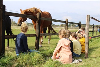 Paardencoaching voor kids
