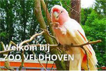 Zoo Veldhoven Kinderfeestje