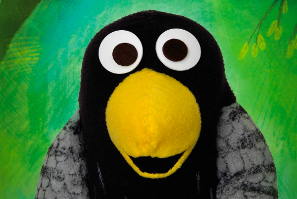 de vogel coco