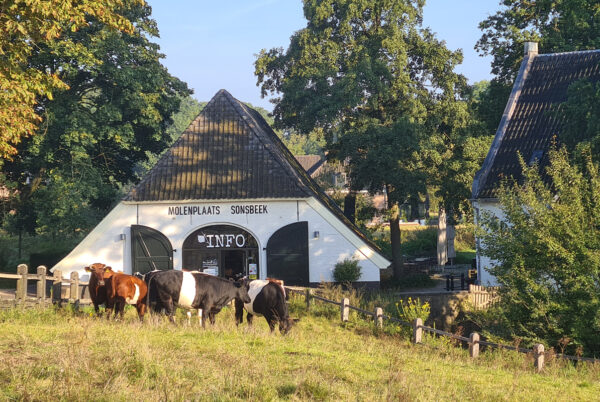 Boerderij met vee ervoor