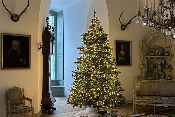 Kasteel Rosendael met tuinpaden en waterpartijen in winterse sfeer