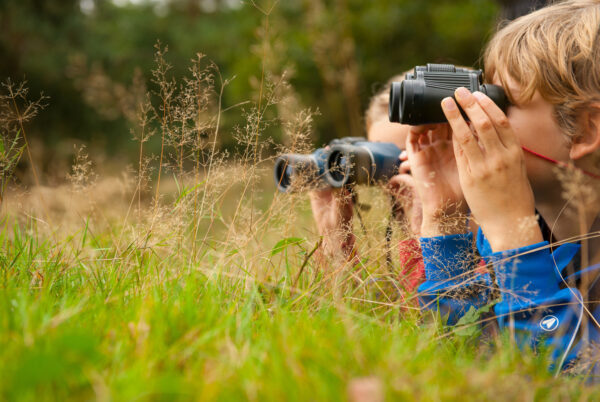 Kinderen speuren in het bos bij de Veluwezoom