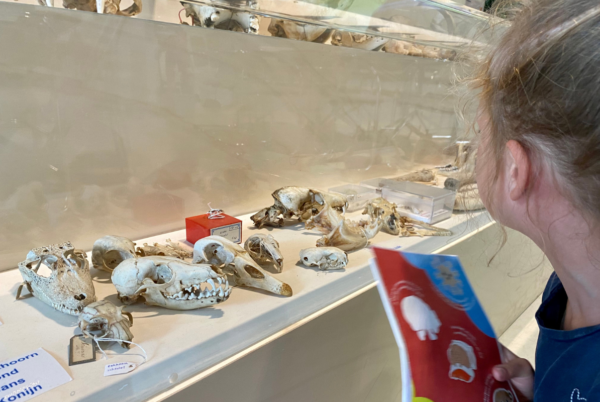 kinderuitje museum groningen