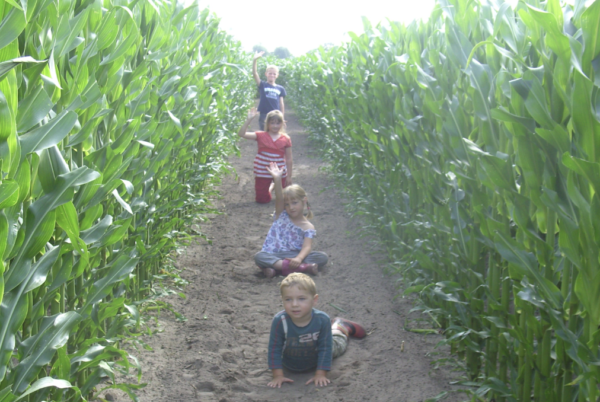 kinderen in het maisdoolhof