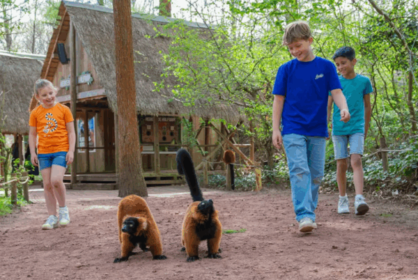 3 kinderen met loslopende apen