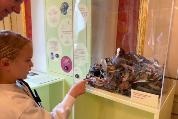 grachtenmusuem kidsproofreporters dieren van de grachten meerkoet