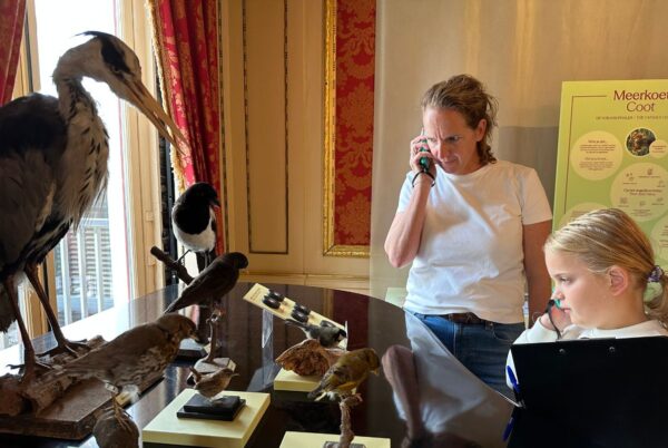 grachtenmusuem amsterdam kidsproofreporters 2025 dieren van de gracht