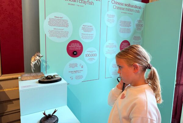 grachtenmuseum dieren van gracht 2025